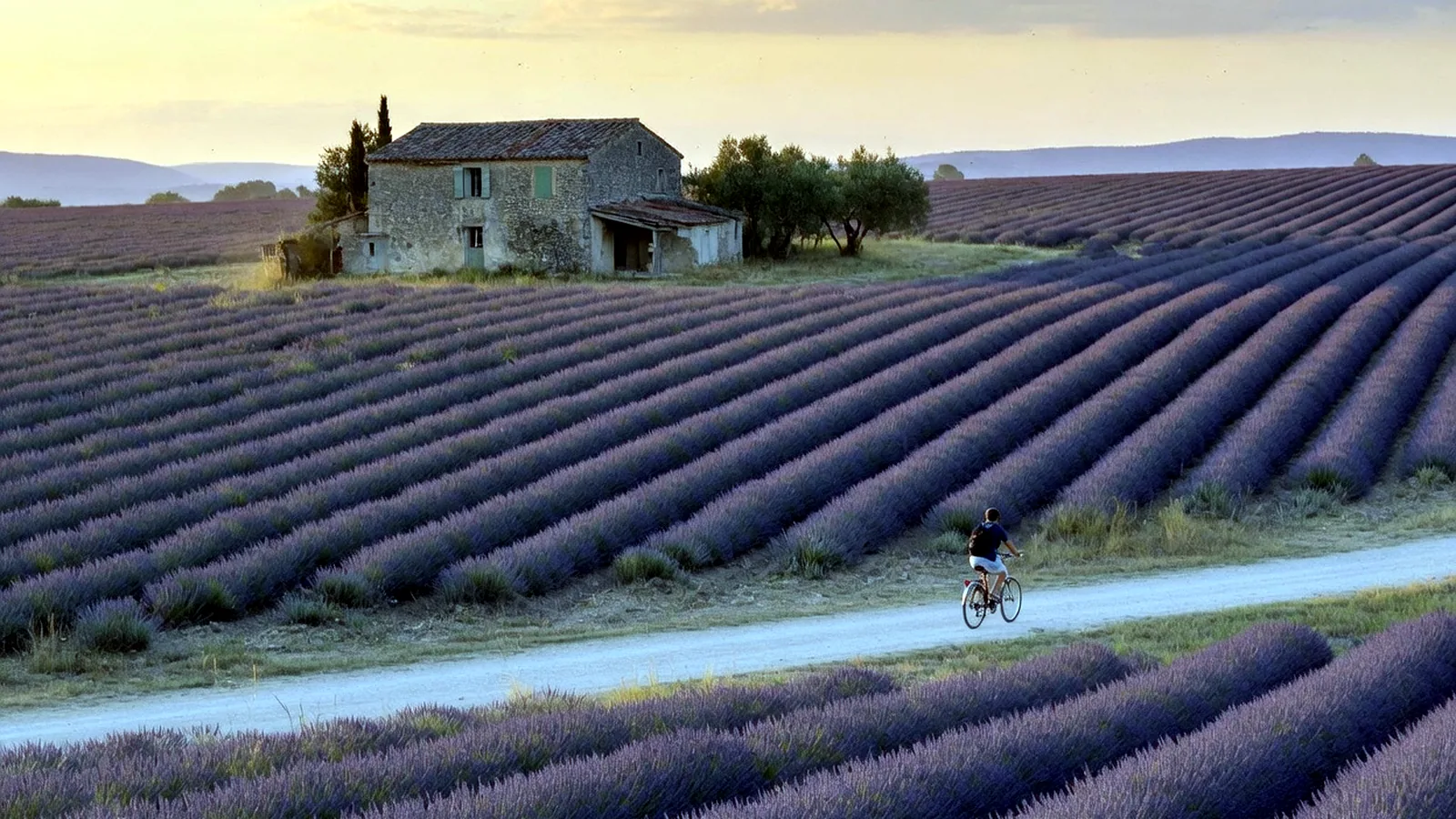 The French Startup Ecosystem